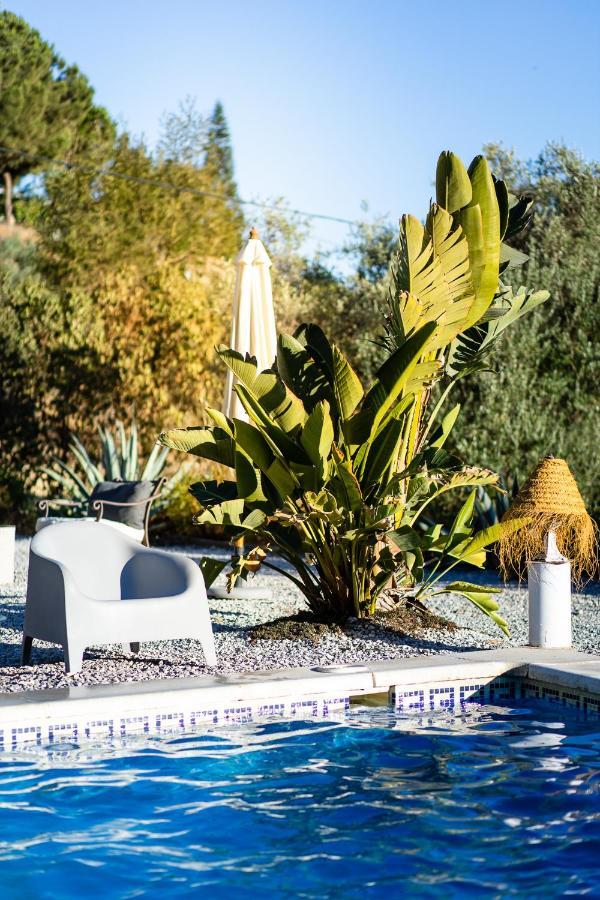 Bed and breakfast Campo Agave *
