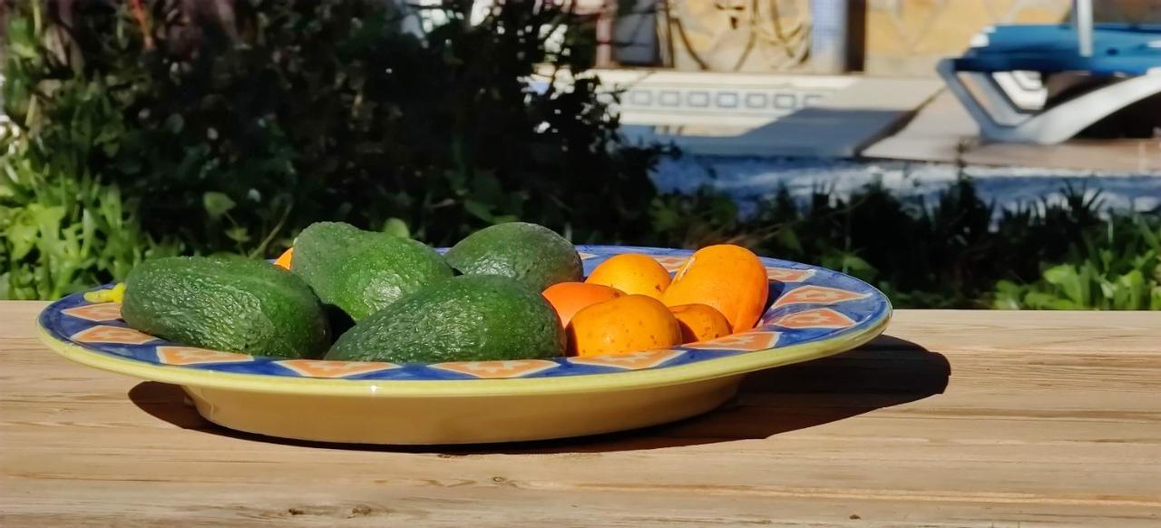 Bed & Breakfast Campo Agave Sayalonga